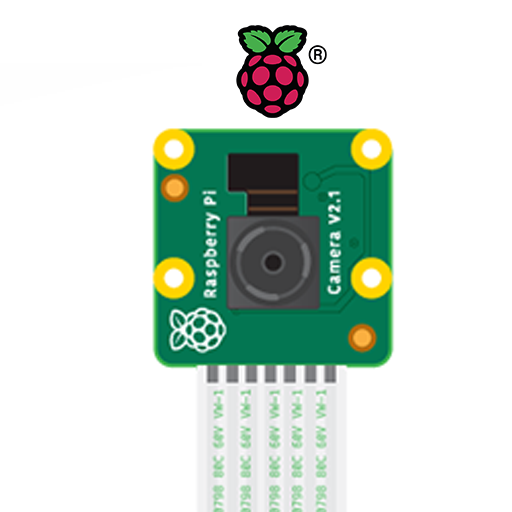 Camera cho Raspberry PI