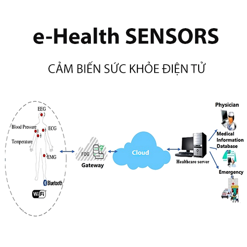 Cảm biến sức khỏe điện tử (e-Health)