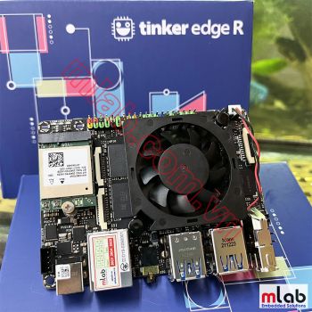 ASUS Tinker Edge R