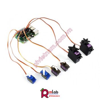 Module điều khiển động cơ Servo dành cho Raspberry Pi Series