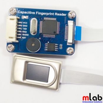 Cảm biến vân tay điện dung