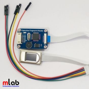 Cảm biến vân tay điện dung