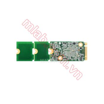Module Hailo-8 M.2 AI Accelerator, 26TOPS dành cho Raspberry Pi 5