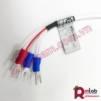 Cảm biến nhiệt độ PT100 - VikorSensor