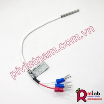 Cảm biến nhiệt độ PT100 - VikorSensor